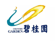 玄武碧桂园地产